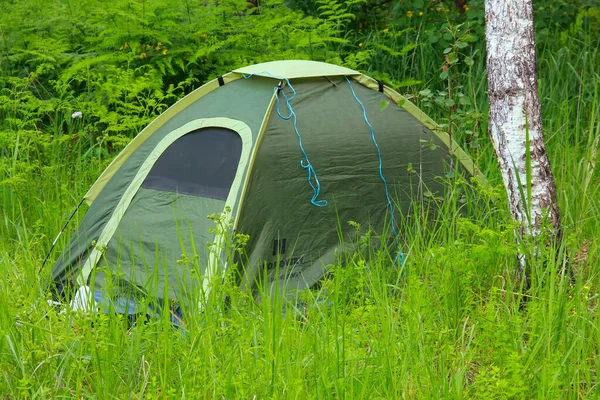 Camping Med Tält Skogen Olika Alternativ — Stockfoto