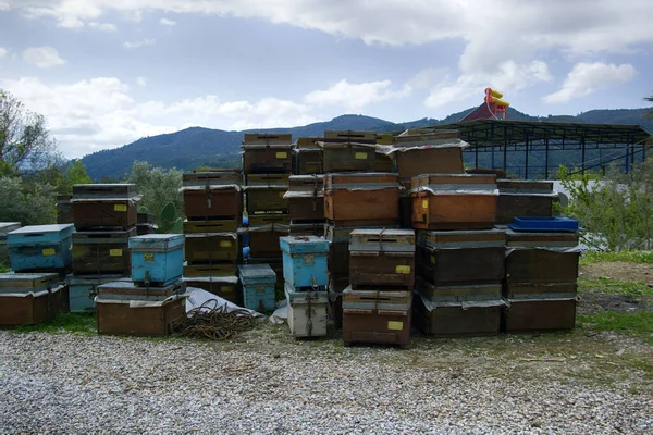 Bienenstöcke Und Andere Imkereigeräte Zur Bienenzucht Und Honiggewinnung Honigernte Imkerei — Stockfoto