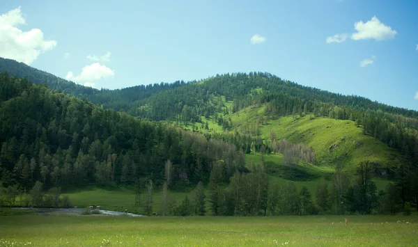 Montañas Verano Con Árboles Altai Paisaje Verde — Foto de Stock