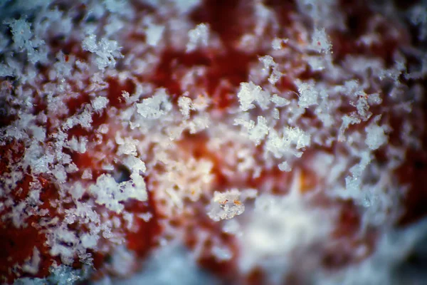 Pozadí Makro Tenká Vrstva Tavícího Sněhu Kameni Jarní Zavření — Stock fotografie