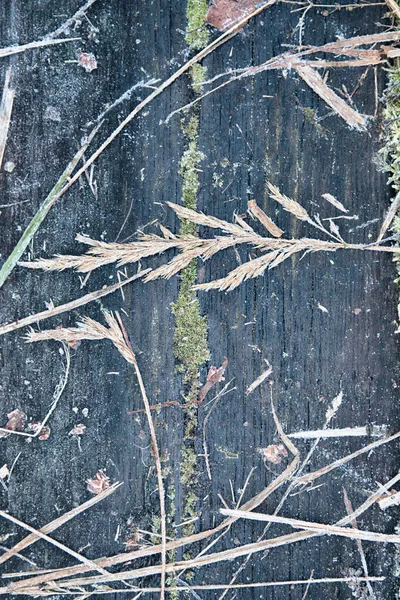 自然素材の凍結した背景 黒い木の上に霜が降り — ストック写真