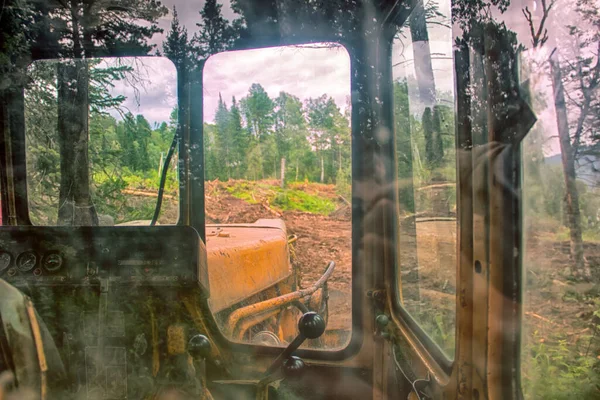 森林破壊 森林破壊 森とその絶滅種 シュレッダー 森のスキッダーやガラスの木の反射で放棄された コンセプト — ストック写真