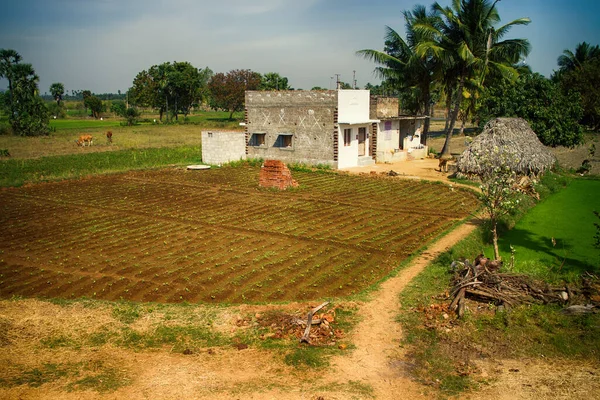 Zones Agricoles Indiennes Avec Maisons Ryots Paysans — Photo