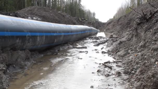 Plastic water pipe (pipeline) goes through forest areas — Stock Video