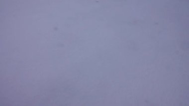 Siyah kurum ve duman, beyaz bakir kara yerleşir.