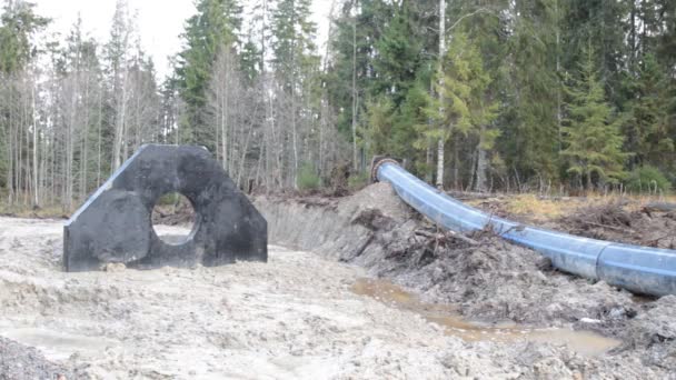 Plastic water pipe (pipeline) goes through forest — Stock Video