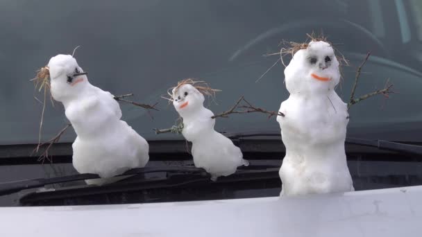 Family of real snowmen on windshield of car — Stock Video