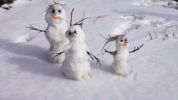 Historia de primavera de la familia de muñecos de nieve — Vídeo de stock