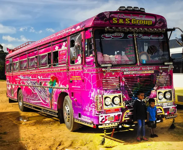 Sri Lanka Nuwara Eliya Januari 2020 Prachtige Bussen Die Ook — Stockfoto