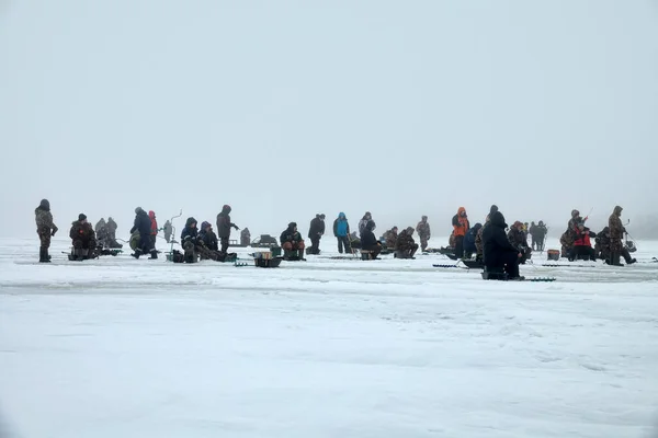 Russia Volkhov February 2019 Active Recreation Ice Winter Crowd Fishermen — Stock Photo, Image