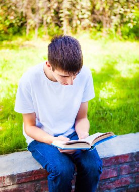 Genç adam yaz Park bir kitap okudum