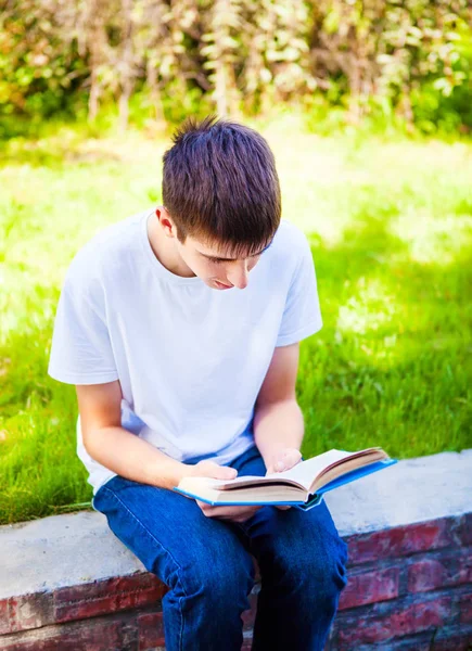 Young Man Read Books Summer Park Stock Picture