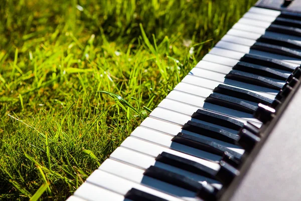 Piano Tastiera Primo Piano Sull Erba Verde Con Una Luce — Foto Stock