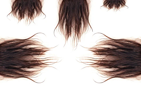 Braune Haare Isoliert Auf Weißem Hintergrund Nahaufnahme — Stockfoto