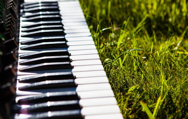 クローズ アップ キーボード ピアノ 日光と緑の草の上 — ストック写真