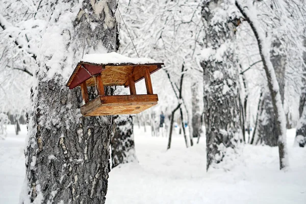 Mangeoire Oiseaux Bois Dans Parc Hiver — Photo