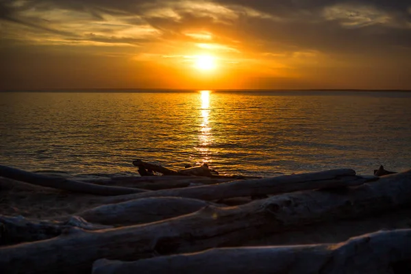 Τονισμένο Φωτογραφία Καλοκαιρινό Τοπίο Θάλασσα Και Ηλιοβασίλεμα — Φωτογραφία Αρχείου