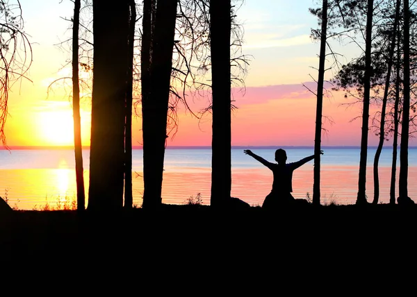 Glückliche Kindersilhouette Mit Erhobenen Händen Wald Bei Sonnenuntergang — Stockfoto