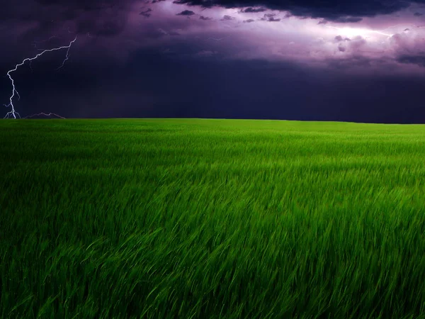 Fält och storm moln — Stockfoto