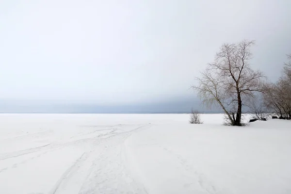 雪原風景 — ストック写真