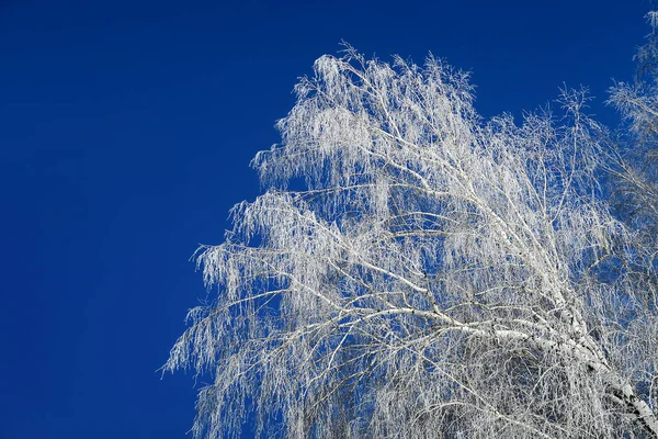 Naturen vinterlandskap — Stockfoto