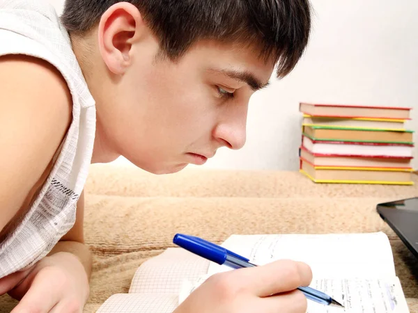 Hombre Joven Haciendo Tareas Sofá Hogar —  Fotos de Stock