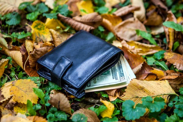 Lost Wallet with a Money on the Leaves in the Autumn Park