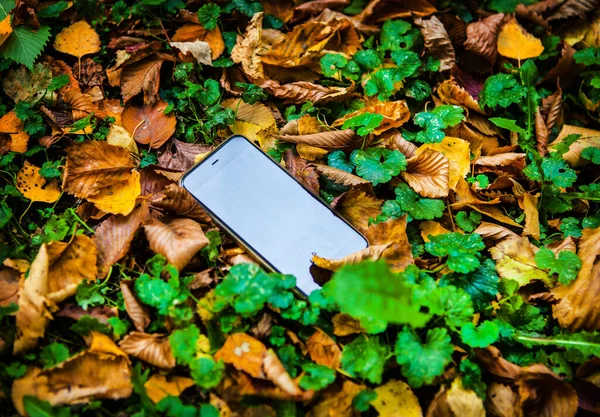 Lost Mobile Phone on the Leaves in the Autumn Park