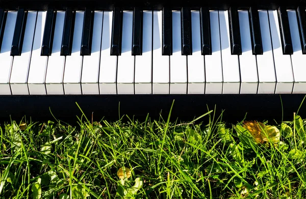 Tastiera Pianoforte Sull Erba Verde Con Luce Solare — Foto Stock