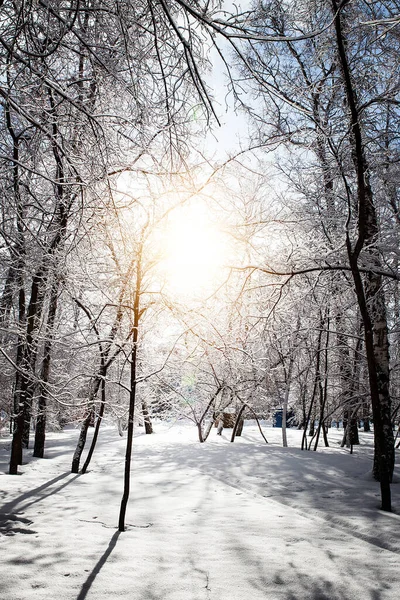 Paesaggio Invernale Nella Giornata Soleggiata — Foto Stock