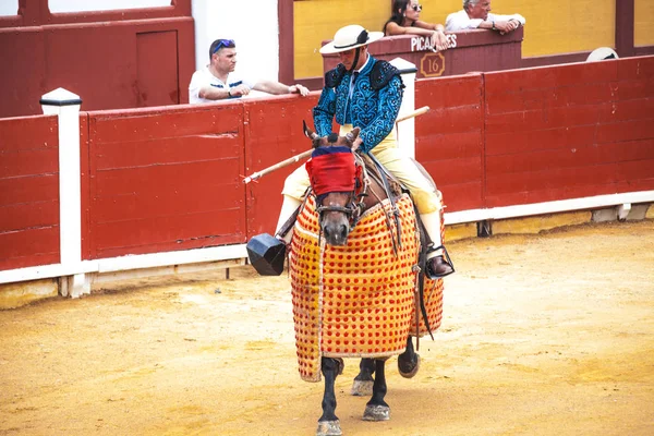 馬に乗って槍を持つピカドール スペインの闘牛 激怒の牛は闘牛士スペイン 2017 2017 を攻撃します Vinaros の記念碑的なコリーダ トロス — ストック写真