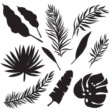 Siyah palm tropikal kümesi beyaz arka plan üzerinde izole siluetleri bırakır. Vektör illistration