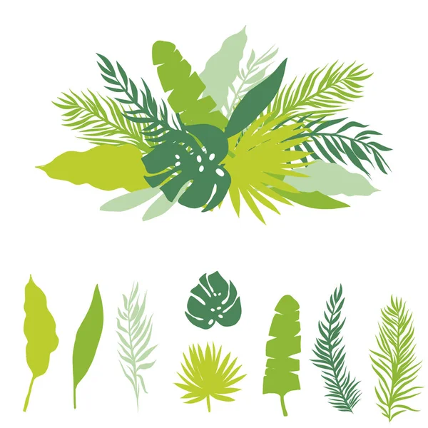 Tropische Banner Van Groene Palm Laat Geïsoleerd Witte Achtergrond Vector — Stockvector