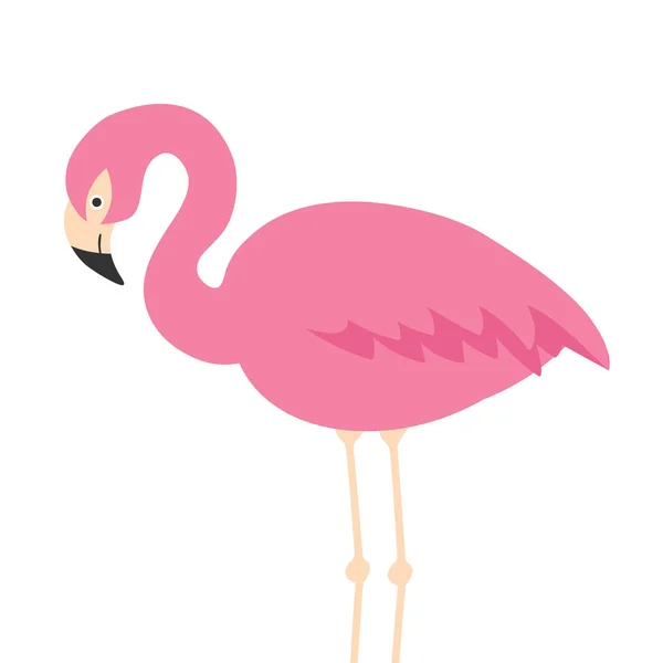 Vektor Illustration Des Niedlichen Cartoon Flamingos Auf Weißem Hintergrund Kann — Stockvektor