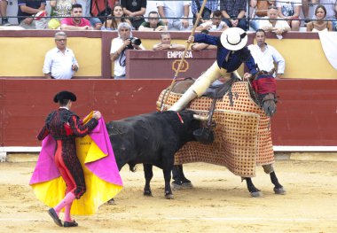 Picador ile at üstünde mızrak. İspanyol boğa güreşi. Öfkeli boğa Boğa güreşçisi İspanya 2017 07.25.2017 saldırır. Vinaros anıtsal Corrida de toros.