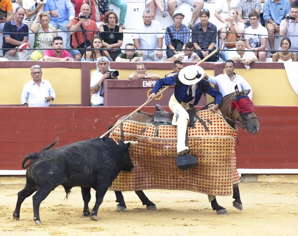 Picador Con Una Lanza Caballo Corrida Toros Toro Enfurecido Ataca —  Fotos de Stock