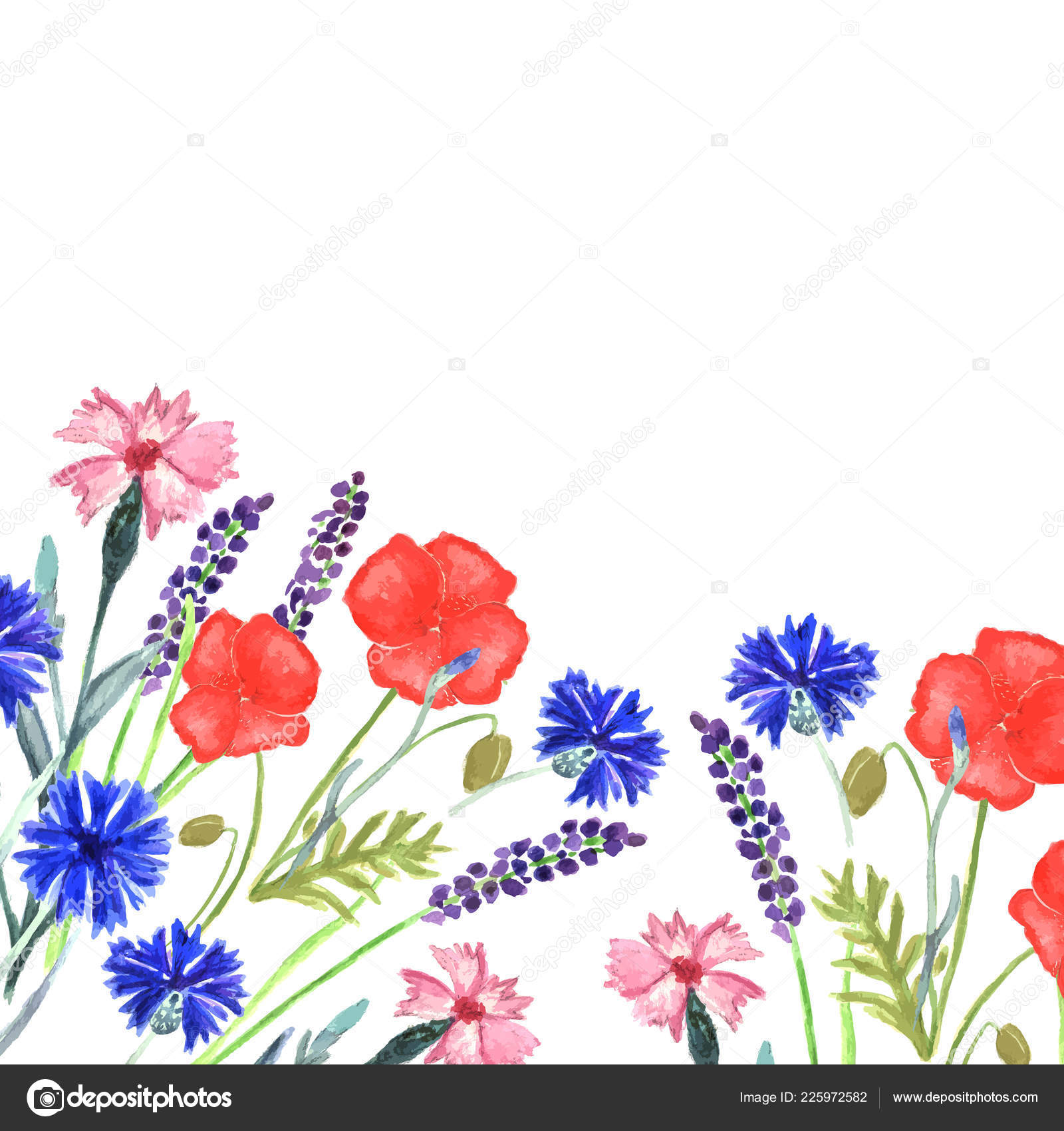 Aquarelle Peinte Faire Part Dessin Fleurs Bleuet Lavande