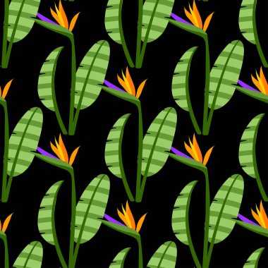 STERLİÇYA Seamless modeli. Siyah arka plan üzerinde renkli parlak çiçekler. Tekstil, baskı, giyim, duvar kağıdı ve diğer tasarım için tropikal çiçeklerle vektör arka plan.