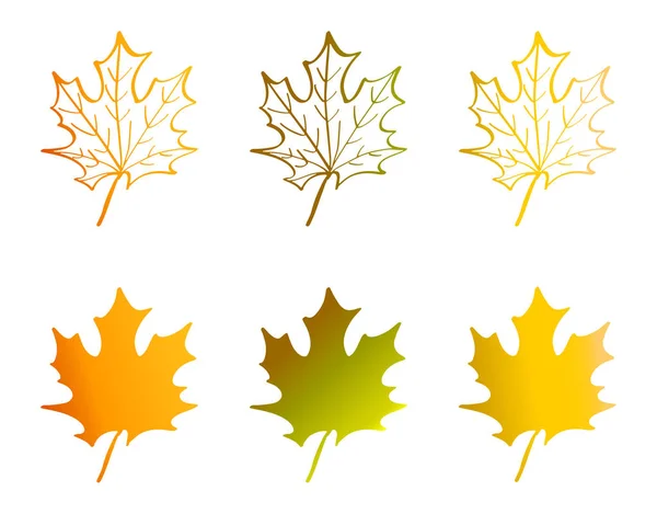 Une Feuille Érable Couleur Jaune Orange Verte Feuilles Automne Ensemble — Image vectorielle