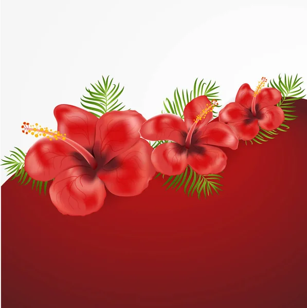 Exotiska Tropiska Banner Formgivningsmall Ljusa Grönska Djungel Palm Tree Blad — Stock vektor