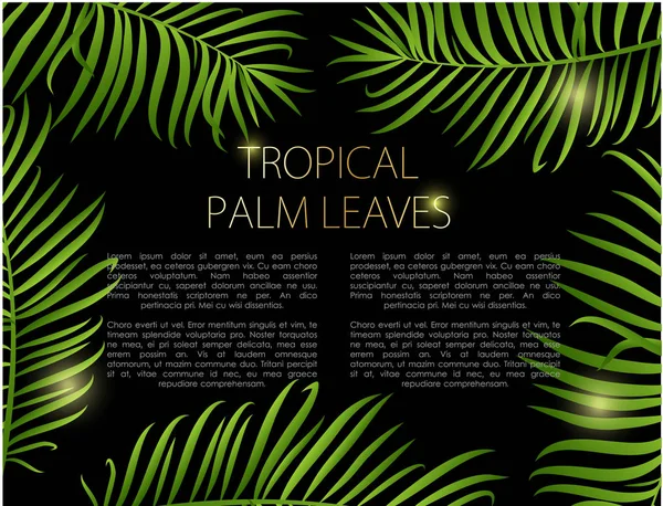 棕榈叶向量背景 绿色叶子在黑色背景与地方为您的文本 — 图库矢量图片