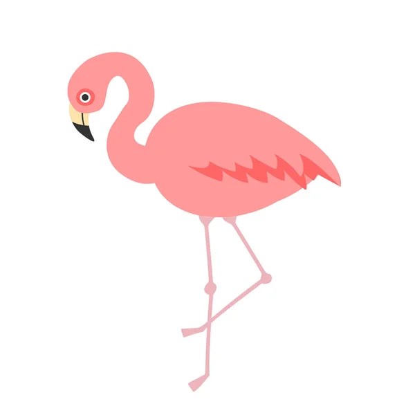 Ilustração Vetorial Flamingo Bonito Dos Desenhos Animados Fundo Branco Pode —  Vetores de Stock