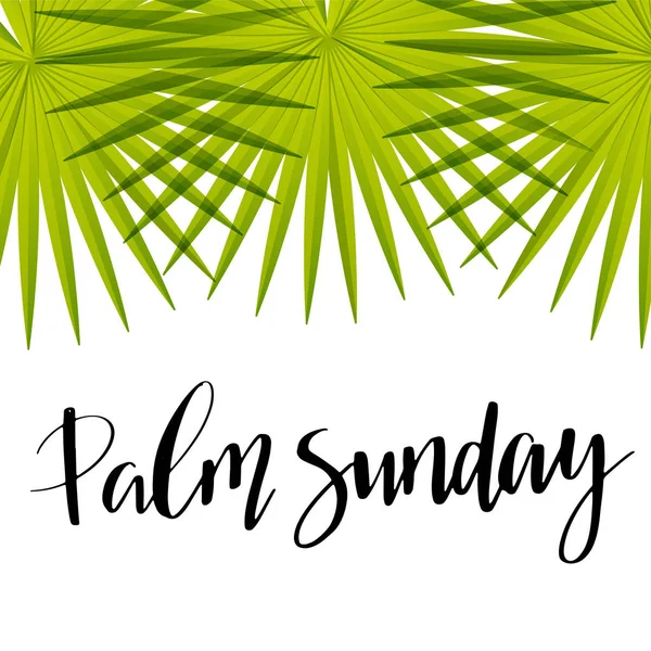 Groene Palm Bladeren Vector Pictogram Vectorillustratie Voor Christelijke Vakantie Palmzondag — Stockvector