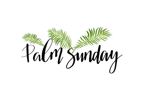 Palm Zöld Levelek Vektor Ikonra Vektoros Illusztráció Keresztény Ünnep Virágvasárnap — Stock Vector