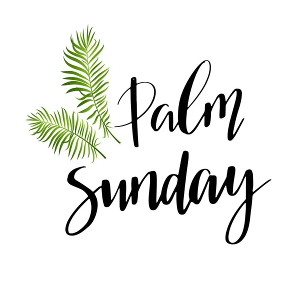 Groene Palm Bladeren Vector Pictogram Vectorillustratie Voor Christelijke Vakantie Palmzondag — Stockvector