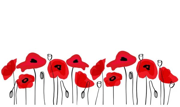 Wild red poppies in a row. Isolated on white background. — Stock Vector