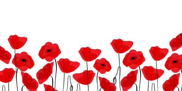 Red poppies in a row. Isolated on white background. Vector illustration. — Stock Vector