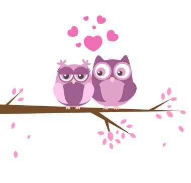 Aşık iki güzel baykuş ile tebrik kartı