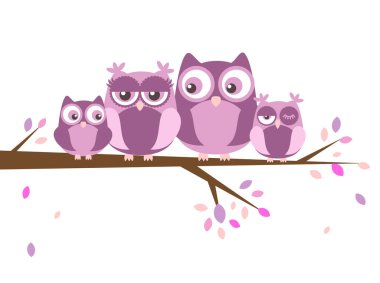 ağaç üzerinde iki baykuş.