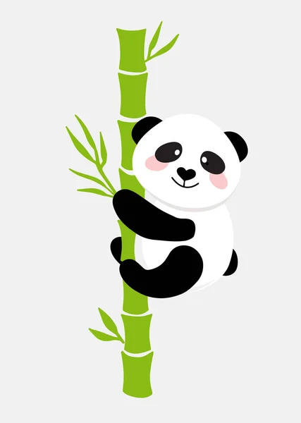 Cute funny baby panda hanging on the bamboo — Stock Vector